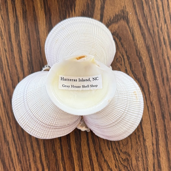 Pink & Cream Shell Flower Dish with Assorted Mini Shells - Picture 2 of 2